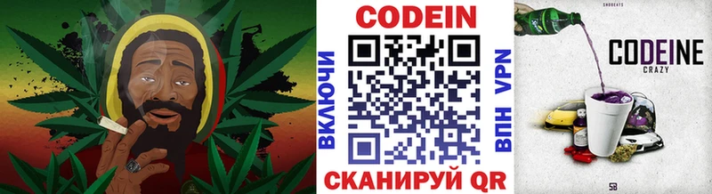 Купить где  Истра  Кодеиновый сироп Lean Purple Drank 
