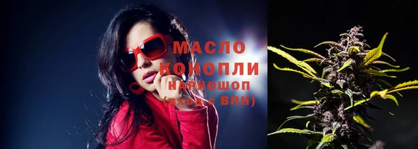 Альфа ПВП Ельня