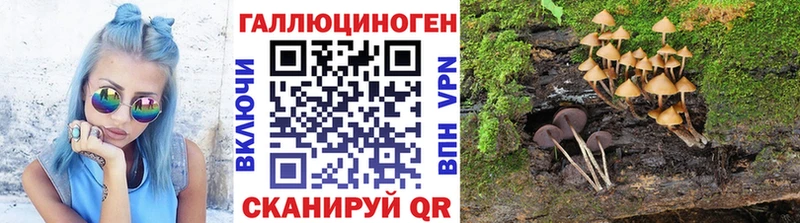 Купить где  Истра  Псилоцибиновые грибы Magic Shrooms 